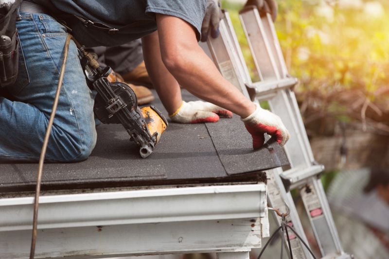 Professional Roof Repair Service