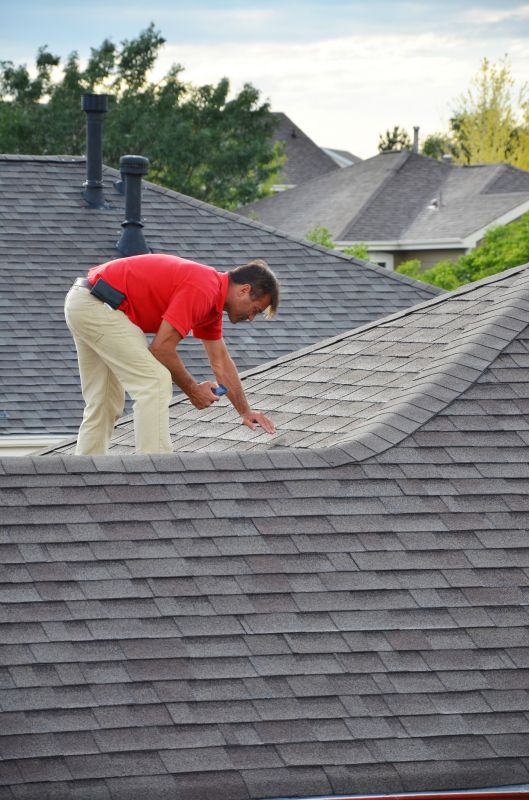 Roof Repair Technician at Work